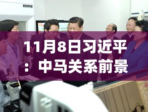 11月8日習(xí)近平：中馬關(guān)系前景光明 未來可期，11月8日習(xí)近平主席談中馬關(guān)系，未來光明，前景可期