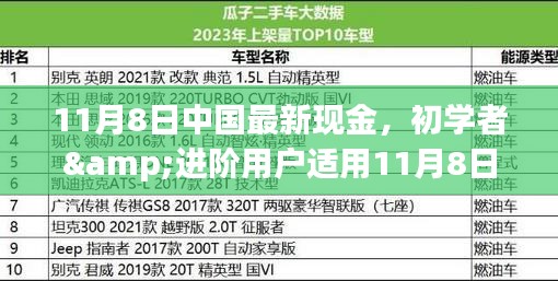 初學(xué)者與進(jìn)階用戶指南，11月8日中國(guó)最新現(xiàn)金操作指南及任務(wù)完成步驟詳解