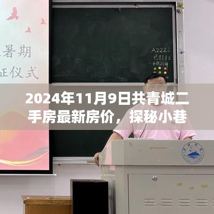 2024年共青城二手房最新房價揭秘，小巷特色小店探秘