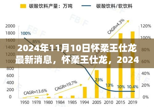 懷柔王仕龍最新動(dòng)態(tài)與深遠(yuǎn)影響力揭曉，2024年11月10日更新