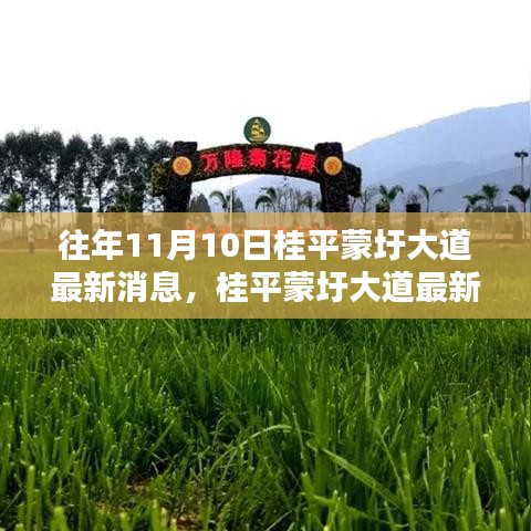 桂平蒙圩大道最新動態(tài)獲取全攻略，輕松掌握最新消息動態(tài)