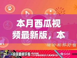 本月西瓜視頻最新版，全新體驗(yàn)與功能升級(jí)指南