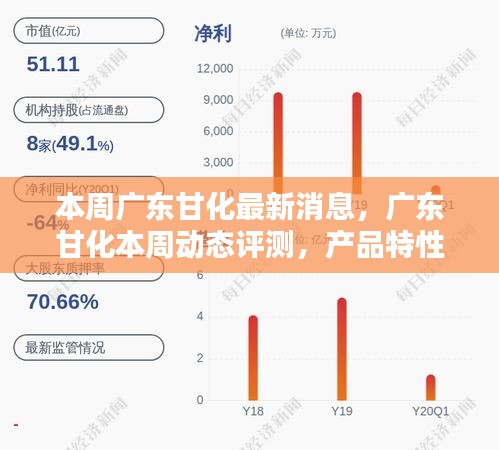 廣東甘化最新動態(tài)揭秘，產品特性、用戶體驗與目標用戶群體深度解析周報