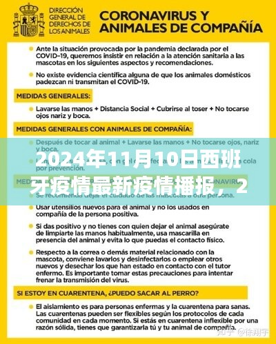 西班牙疫情最新播報(bào)解讀指南，2024年11月10日最新播報(bào)與解讀