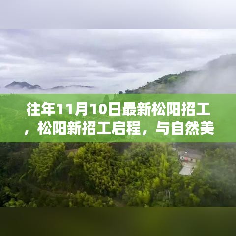 松陽最新招工啟程，與自然美景的邂逅，開啟寧靜之旅的職場探索