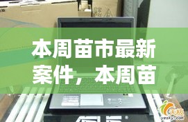 本周苗市熱點揭秘，最新案件動態(tài)全掌握