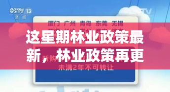 林業(yè)政策最新動(dòng)向，本周更新及其時(shí)代影響力分析