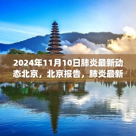 北京肺炎最新動態(tài)深度觀察，報告與影響，2024年11月10日最新進展