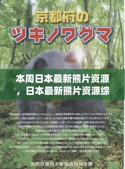 日本最新熊片資源綜述，背景、進(jìn)展與特定領(lǐng)域地位探討