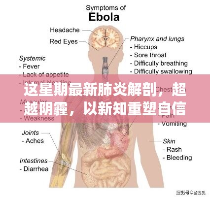 超越陰霾，最新肺炎解剖啟示錄，重塑信心與新知的探索