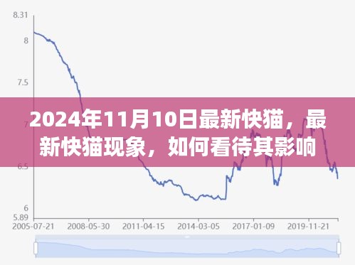 最新快貓現(xiàn)象，影響與未來發(fā)展觀察（2024年觀察點）