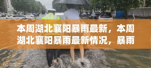 湖北襄陽本周暴雨最新情況，影響、應(yīng)對措施全解析