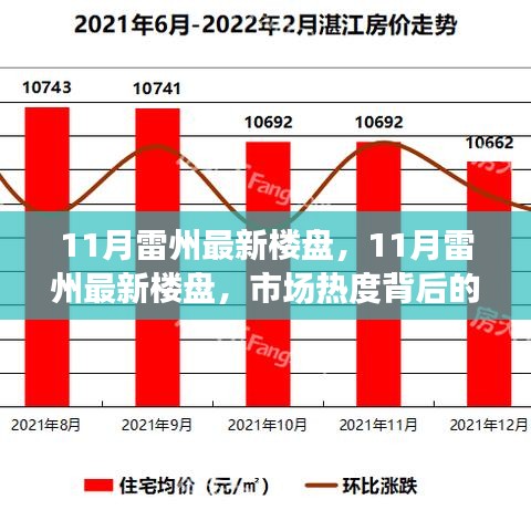 市場熱度背后的深度解讀與個人立場，11月雷州最新樓盤觀察