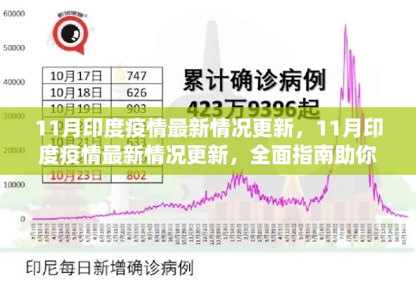 全面指南，了解并應(yīng)對(duì)印度疫情最新情況更新