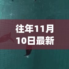 政策法規(guī) 第132頁