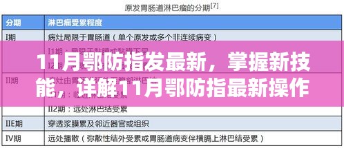 11月鄂防指最新操作流程步驟指南，掌握新技能的詳解