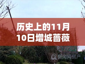 歷史上的11月10日增城薔薇國(guó)際房?jī)r(jià)揭秘，最新價(jià)格一覽表！