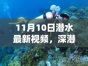 揭秘深潛新紀(jì)元，潛水最新視頻的時(shí)代意義與影響（11月10日更新）