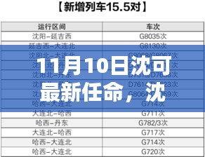 沈可新任命的背后，背景、影響與時代地位分析（最新更新）