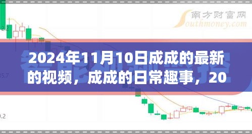 成成的日常趣事，2024年11月10日的溫馨時(shí)光記錄