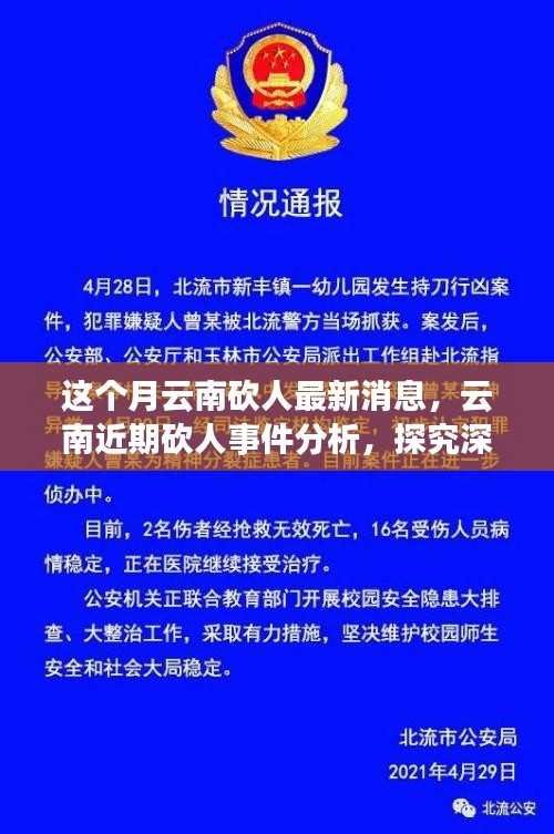 云南砍人事件最新消息，深層原因探究與各方觀點(diǎn)分析