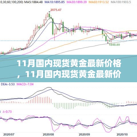 11月國內(nèi)現(xiàn)貨黃金最新價格深度解析與全面評測報告