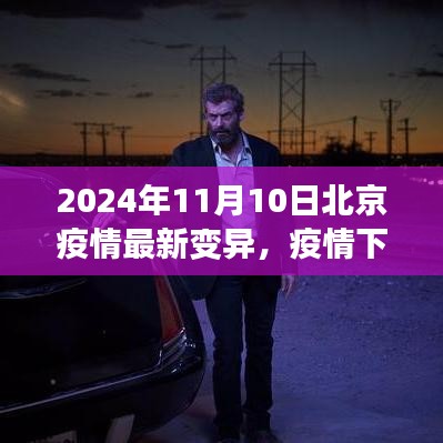 北京疫情最新變異下的溫情與友情日常，2024年11月10日最新觀察