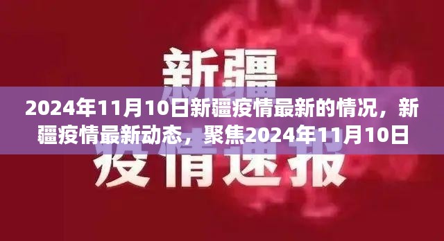 2024年11月10日新疆疫情最新進展與動態(tài)