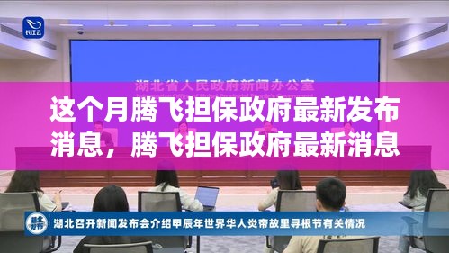 騰飛擔(dān)保政府最新消息解讀與操作指南，初學(xué)者與進(jìn)階用戶必讀指南