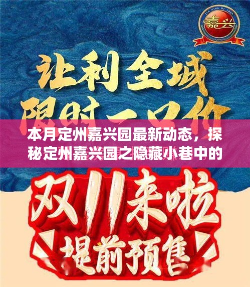 本月定州嘉興園最新動(dòng)態(tài)，探秘隱藏小巷的獨(dú)特風(fēng)味——新鮮打卡指南