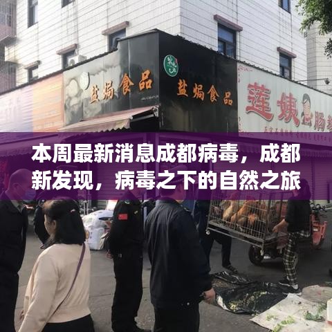 成都病毒新發(fā)現(xiàn)，自然之旅中的心靈港灣探尋