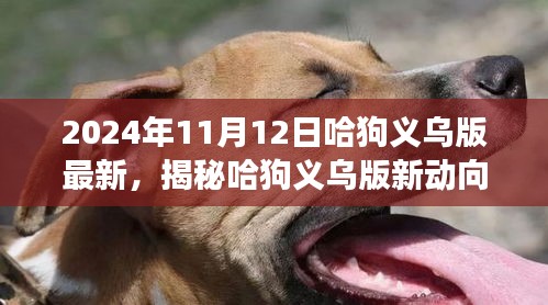 揭秘哈狗義烏版新動向，深度解讀與最新動態(tài)（2024年11月12日）