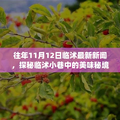 探秘臨沭小巷美味秘境，11月12日臨沭最新新聞中的隱藏美食店揭秘