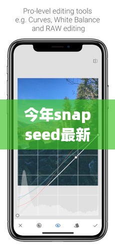 Snapseed最新版下載，回顧發(fā)展歷程，時(shí)代印記下的影響與地位