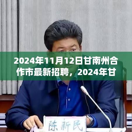 2024年甘南州合作市最新招聘盛會(huì)，職業(yè)發(fā)展的理想舞臺(tái)開啟