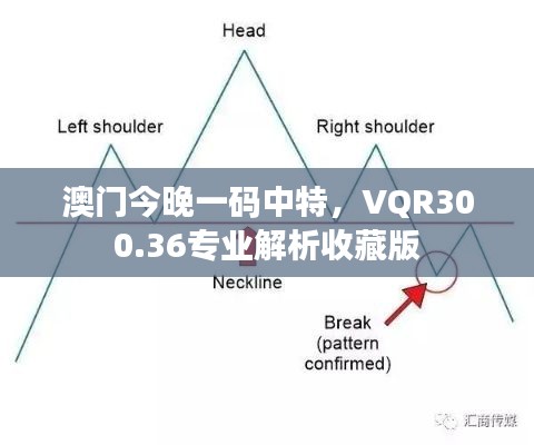 澳門今晚一碼中特，VQR300.36專業(yè)解析收藏版