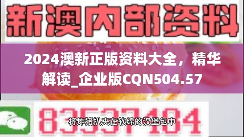 2024澳新正版資料大全，精華解讀_企業(yè)版CQN504.57