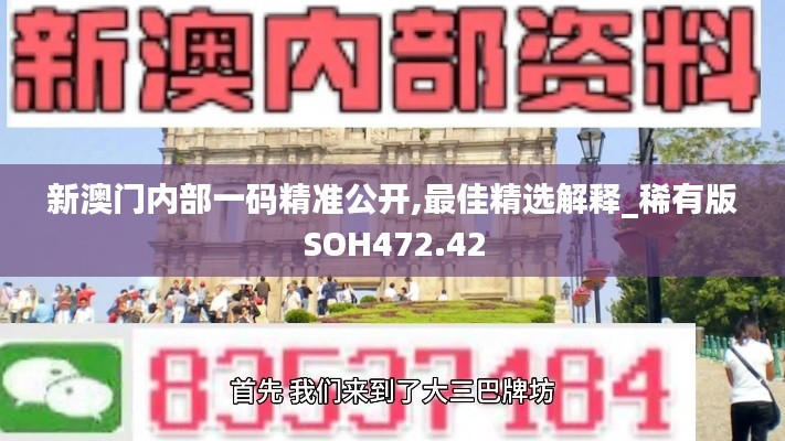 新澳門內部一碼精準公開,最佳精選解釋_稀有版SOH472.42