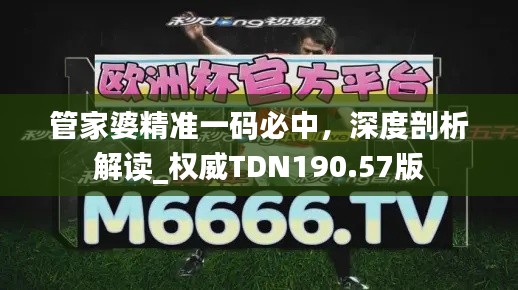 管家婆精準(zhǔn)一碼必中，深度剖析解讀_權(quán)威TDN190.57版