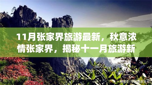 揭秘十一月張家界秋意濃情，最新旅游指南開啟新篇章