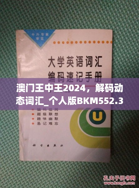 澳門(mén)王中王2024，解碼動(dòng)態(tài)詞匯_個(gè)人版BKM552.33指南