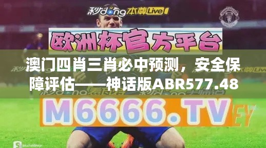 澳門四肖三肖必中預測，安全保障評估——神話版ABR577.48