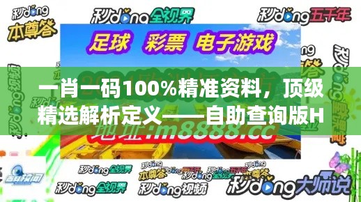 一肖一碼100%精準(zhǔn)資料，頂級(jí)精選解析定義——自助查詢版HOU688.73