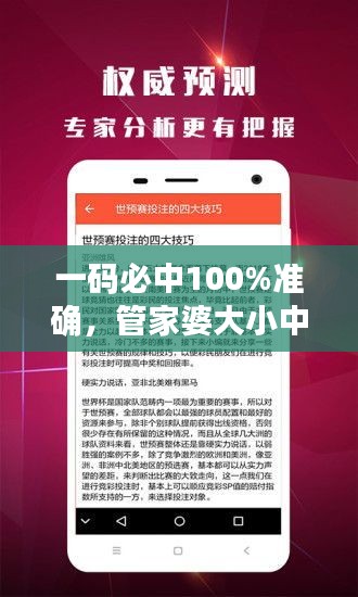 一碼必中100%準(zhǔn)確，管家婆大小中特解析，戶外版ZNA113.77深度剖析