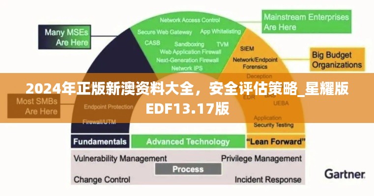 2024年正版新澳資料大全，安全評(píng)估策略_星耀版EDF13.17版