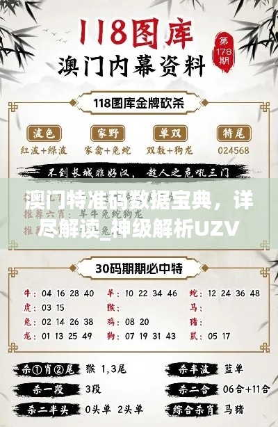 澳門特準碼數(shù)據(jù)寶典，詳盡解讀_神級解析UZV444.11