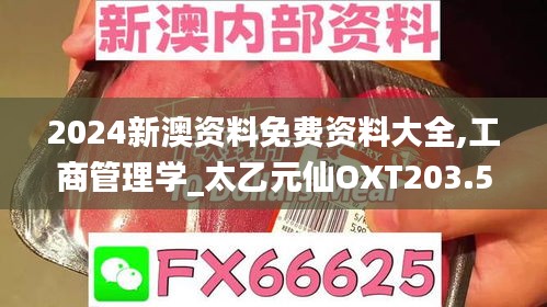 2024新澳資料免費資料大全,工商管理學_太乙元仙OXT203.5