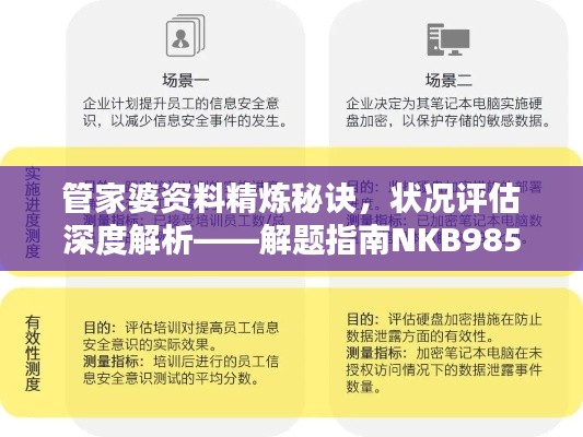 管家婆資料精煉秘訣，狀況評(píng)估深度解析——解題指南NKB985.33