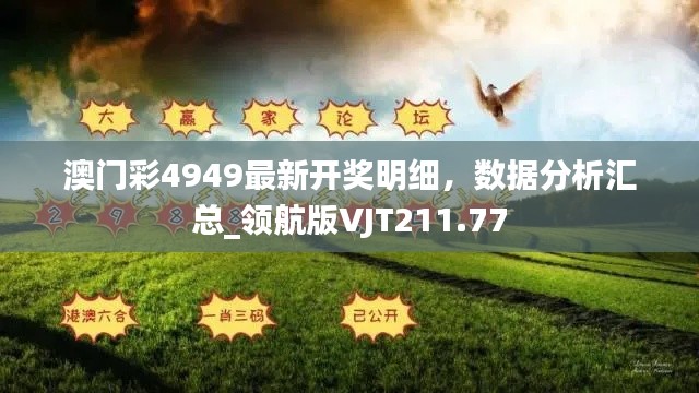 澳門彩4949最新開獎(jiǎng)明細(xì)，數(shù)據(jù)分析匯總_領(lǐng)航版VJT211.77