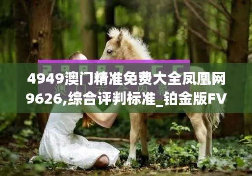 4949澳門精準免費大全鳳凰網(wǎng)9626,綜合評判標準_鉑金版FVJ173.28